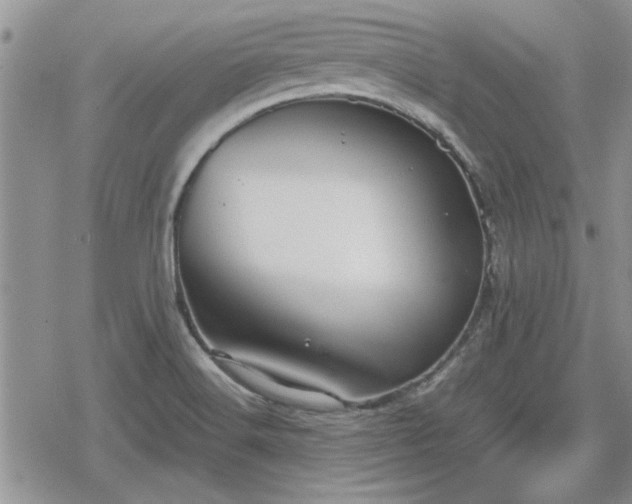 X0000078841516200611201300