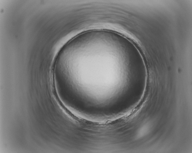 X0000078841517200611201300