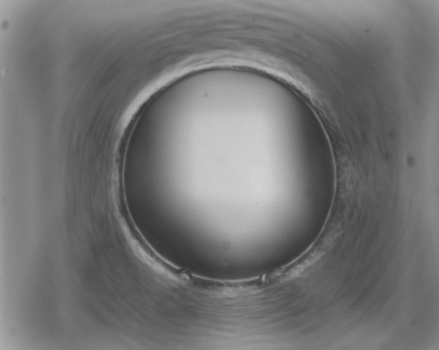 X0000078841518200611201300