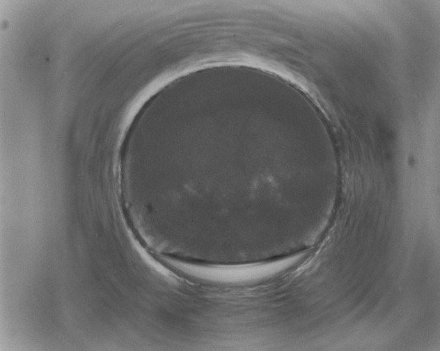 X0000078841519200611201300