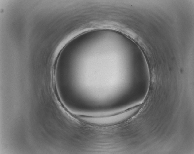 X0000078841520200611201300