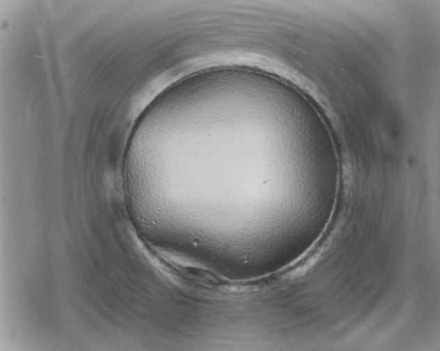 X0000078841521200611201300