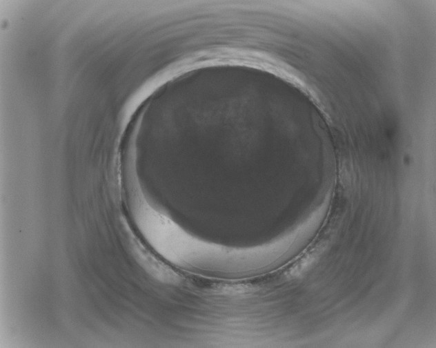 X0000078841522200611201300