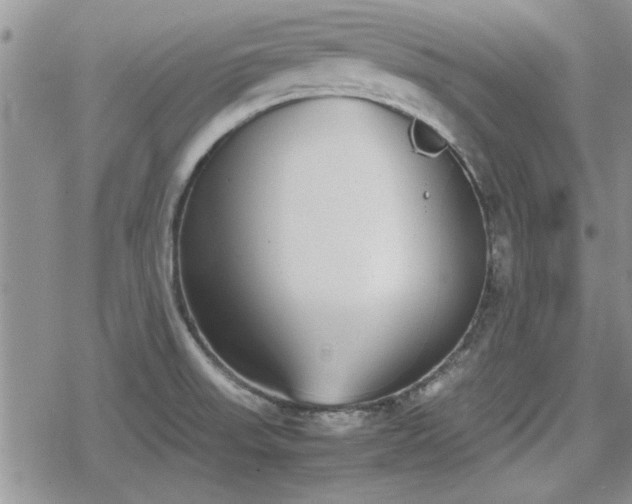 X0000078841523200611201300