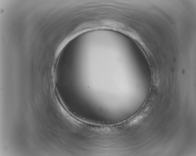 X0000078841524200611201300