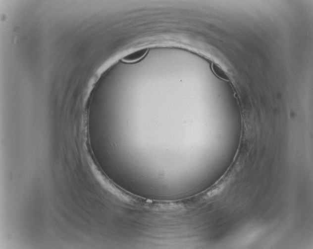 X0000078841526200611201300