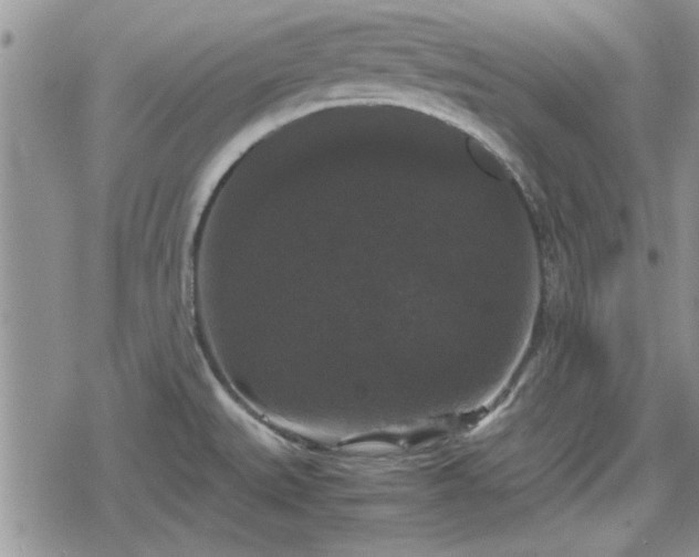 X0000078841527200611201300