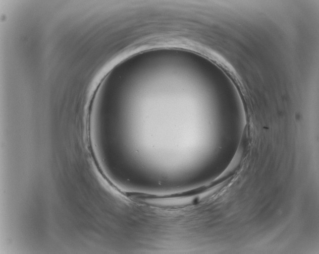 X0000078841528200611201300