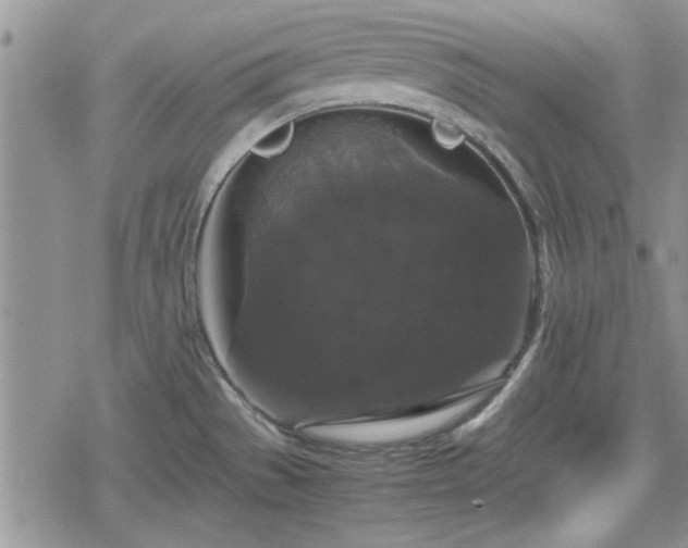 X0000078841529200611201300