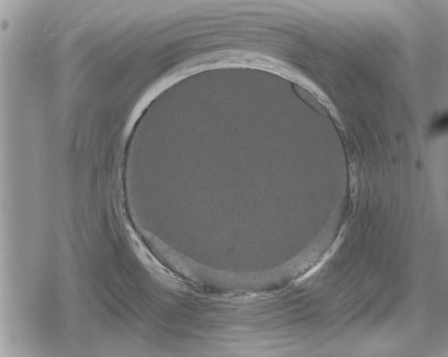 X0000078841530200611201300