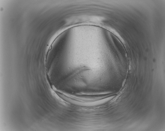 X0000078841532200611201300