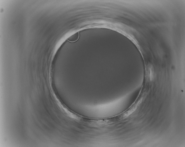 X0000078841533200611201300