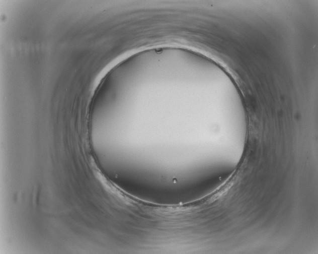 X0000078841534200611201300