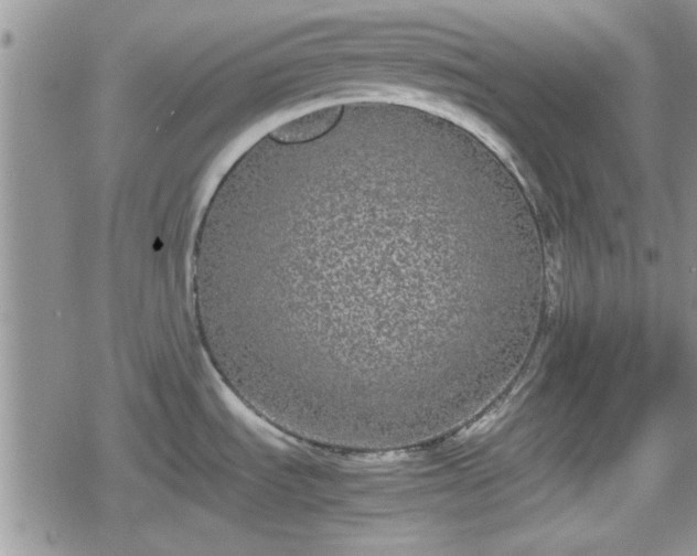 X0000078841535200611201300