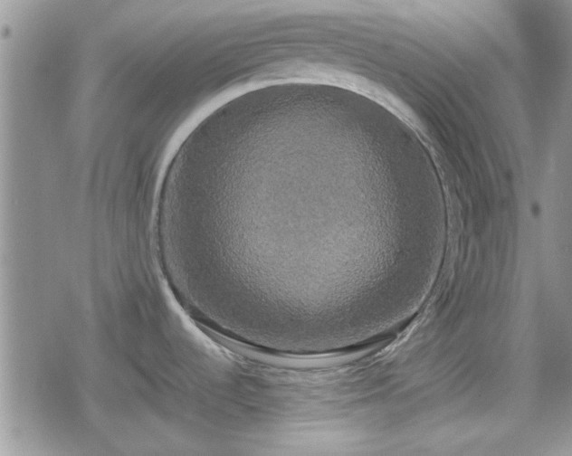 X0000078841536200611201300