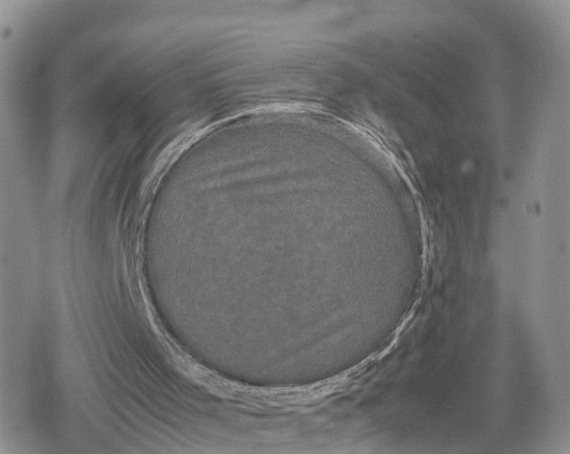 X0000078840001200611271333