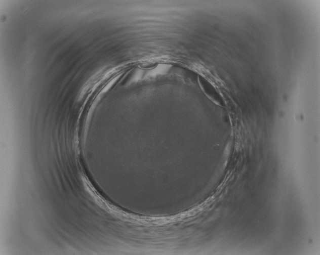 X0000078840002200611271333