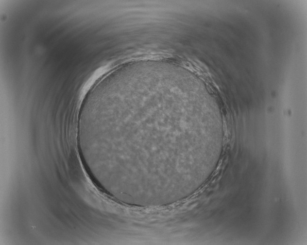 X0000078840003200611271333