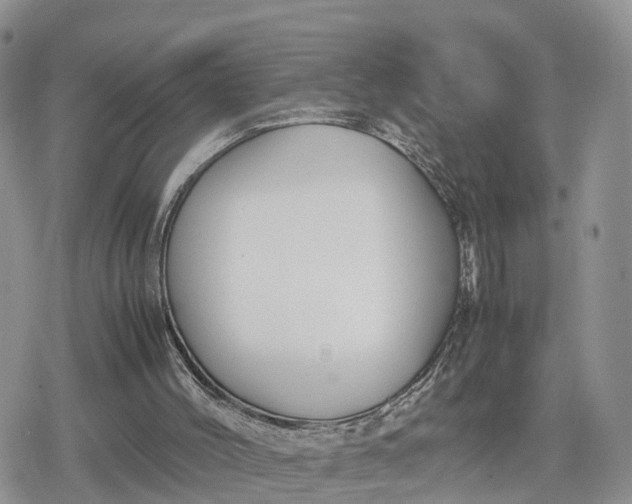 X0000078840004200611271333