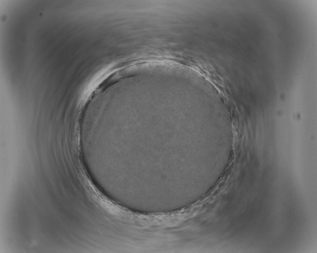 X0000078840005200611271333