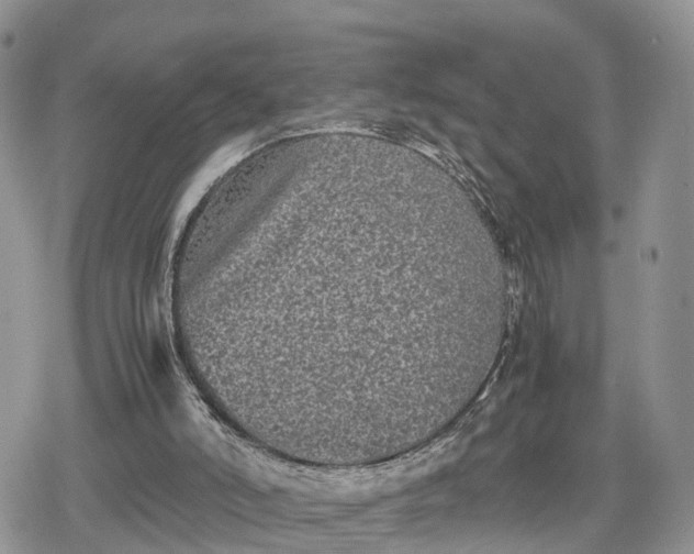 X0000078840006200611271333