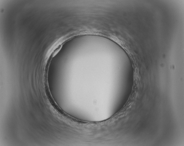 X0000078840007200611271333