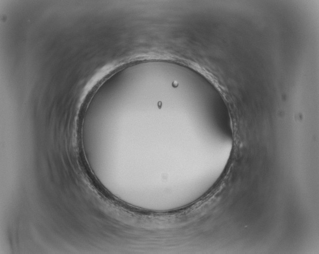 X0000078840008200611271333