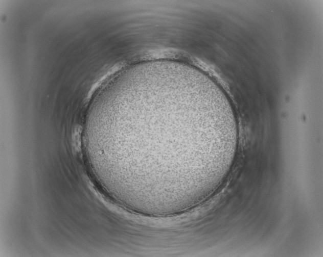 X0000078840010200611271333