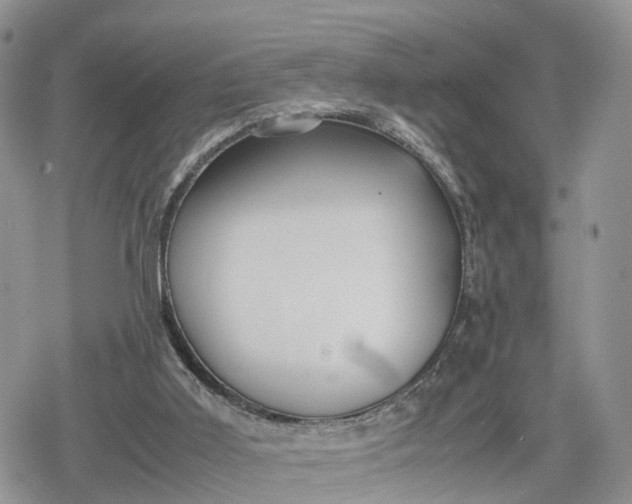 X0000078840011200611271333