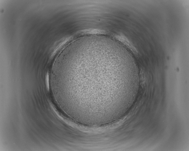 X0000078840014200611271333