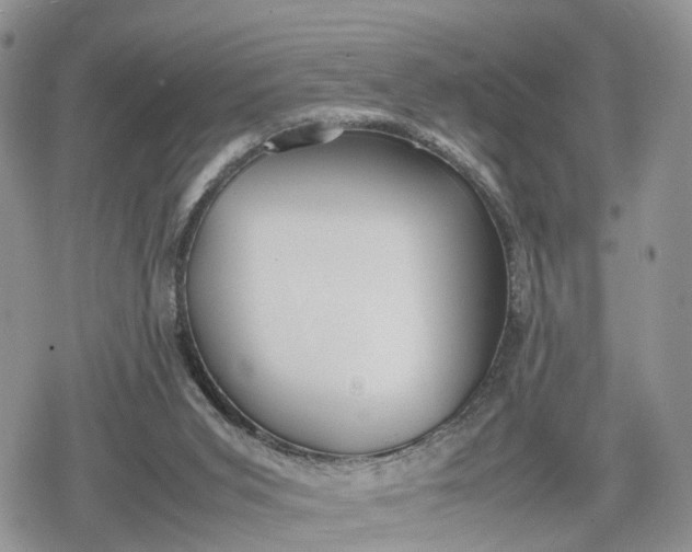 X0000078840015200611271333