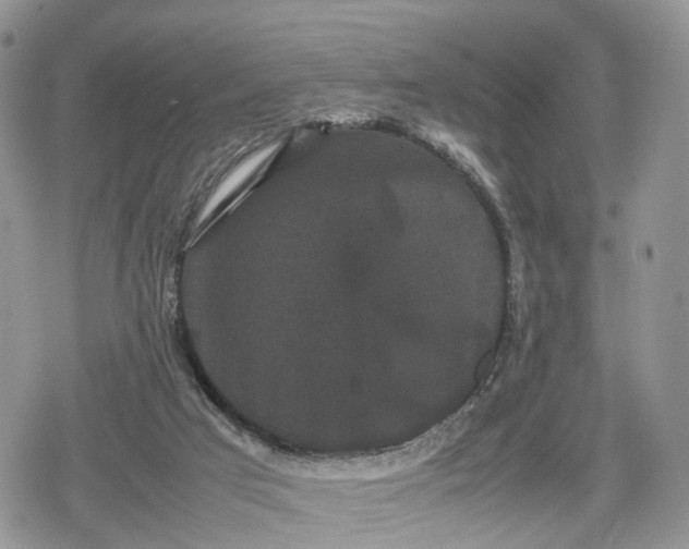 X0000078840017200611271333