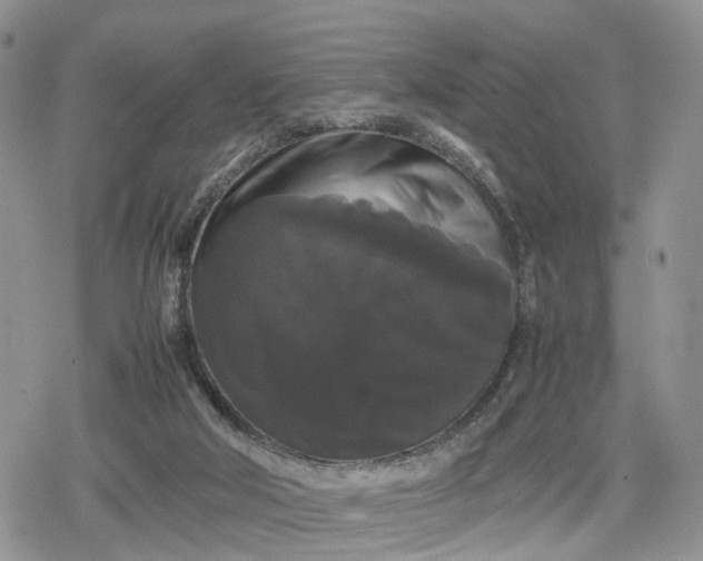 X0000078840018200611271333