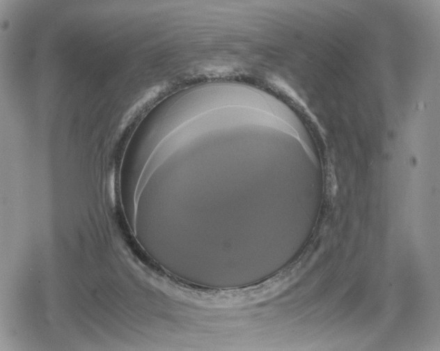 X0000078840019200611271333