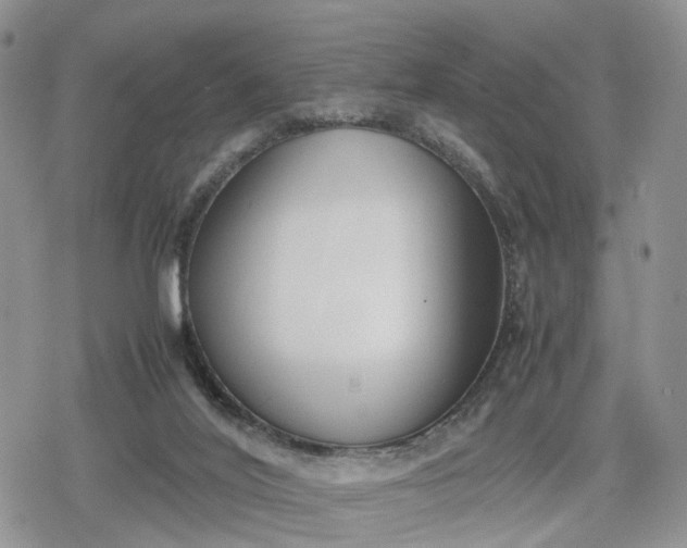 X0000078840020200611271333