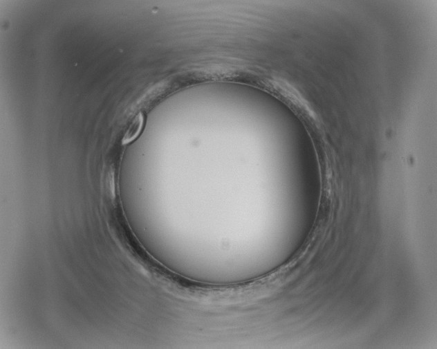 X0000078840021200611271333