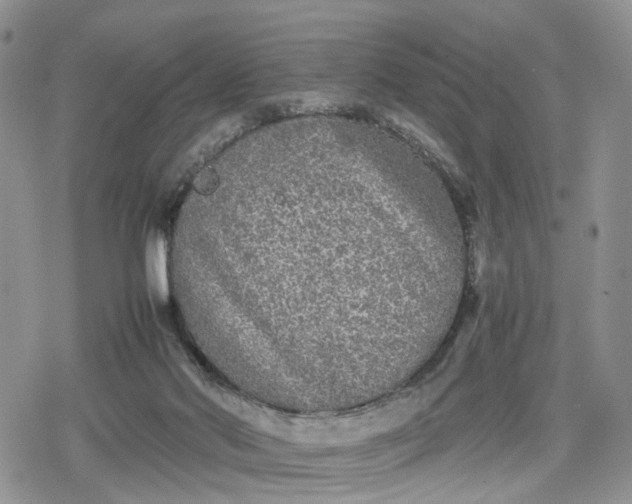 X0000078840022200611271333