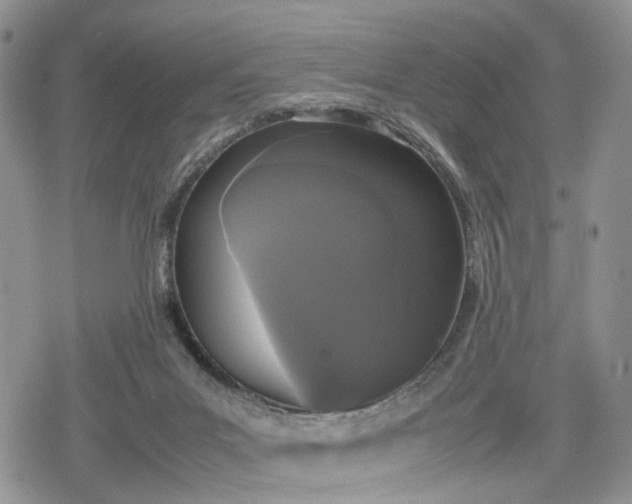 X0000078840023200611271333