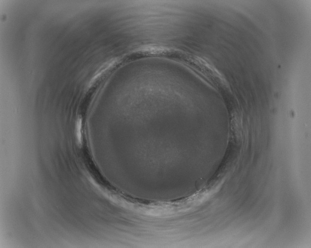 X0000078840024200611271333