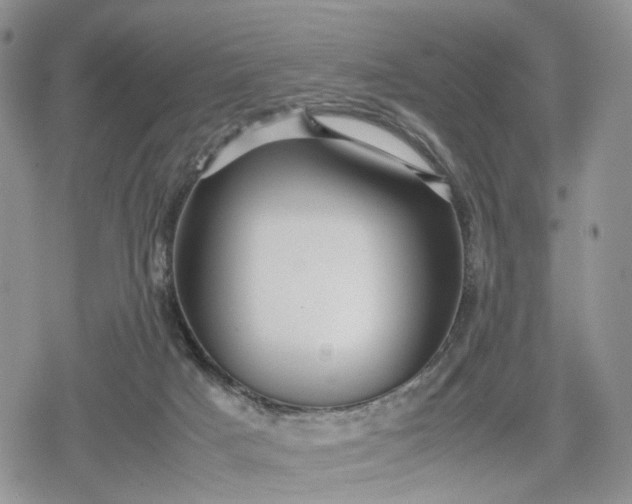 X0000078840025200611271333