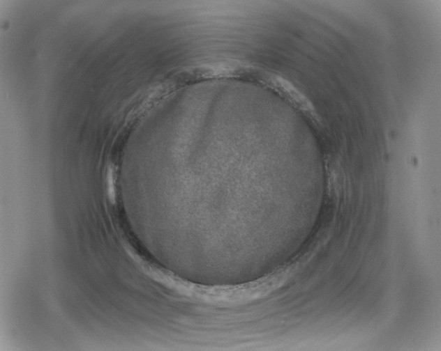 X0000078840026200611271333