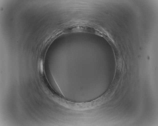 X0000078840027200611271333