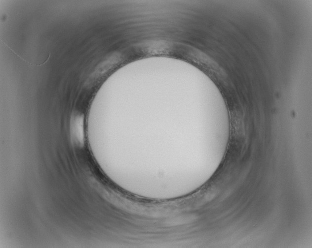 X0000078840028200611271333