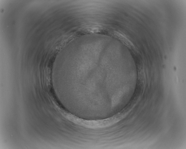 X0000078840030200611271333