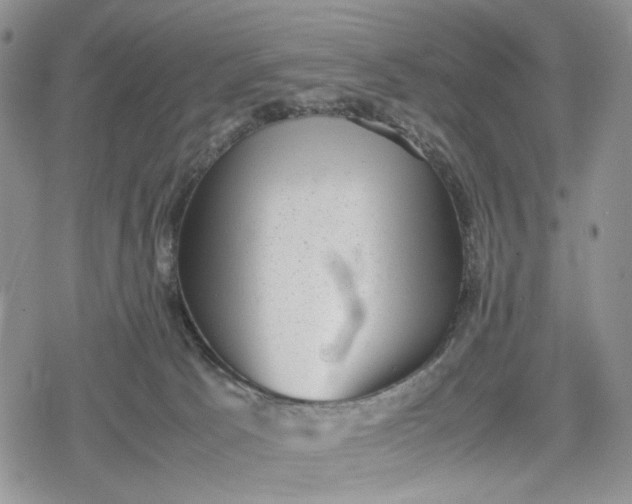 X0000078840033200611271333