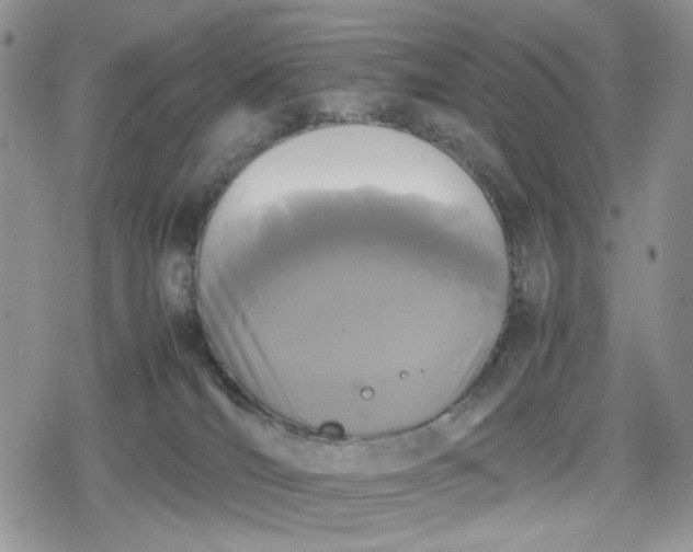 X0000078840036200611271333