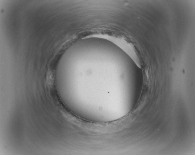 X0000078840037200611271333