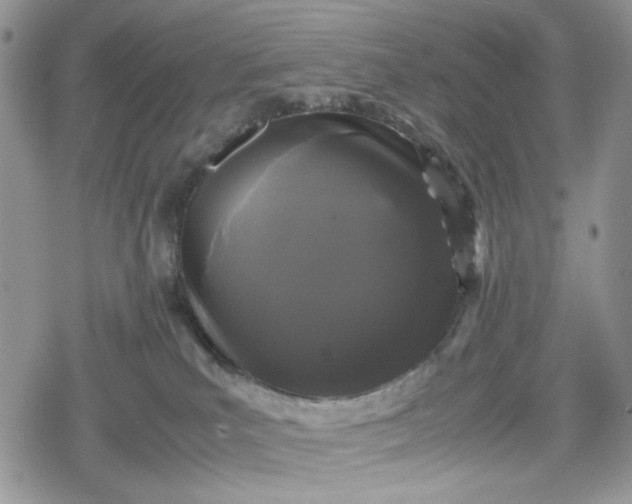 X0000078840039200611271333