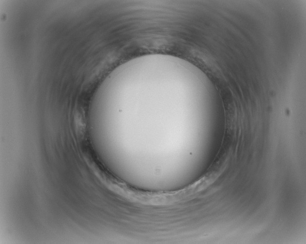 X0000078840040200611271333