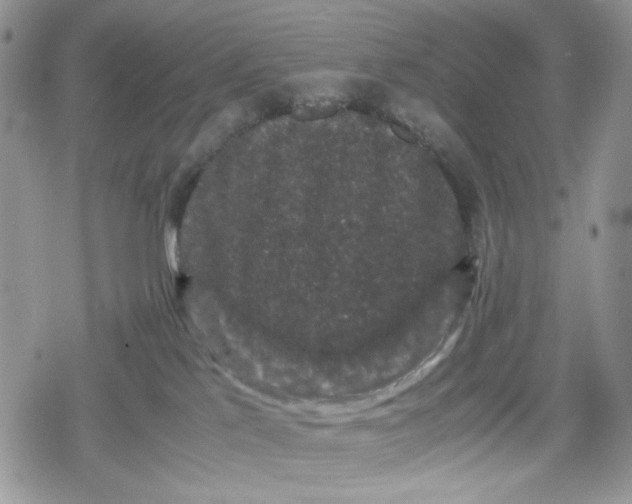 X0000078840041200611271333